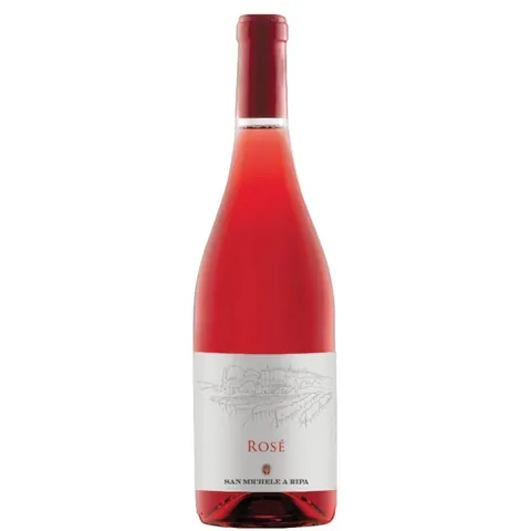 Rosé Marche Rosato Bio